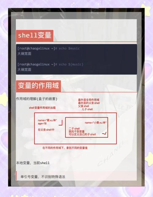 linux shell编程视频_视频编程技术是什么_视频编程器
