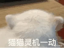 电脑驱动程序_驱动是什么意思_linux设备驱动开发详解 光盘