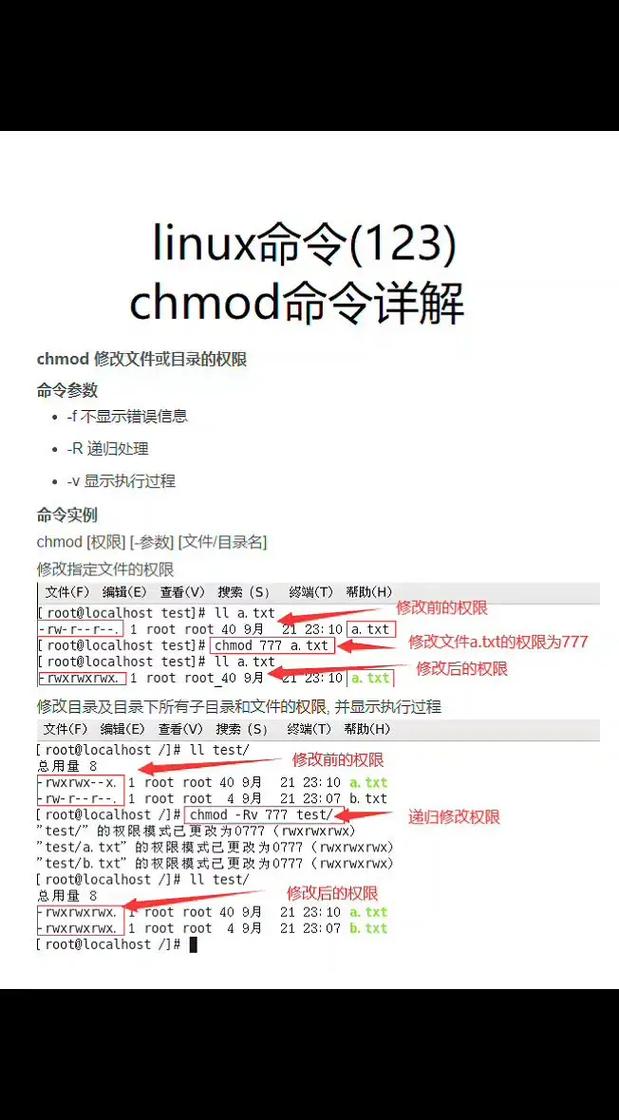 linux命令 chmod_命令方块获取指令_命令的拼音