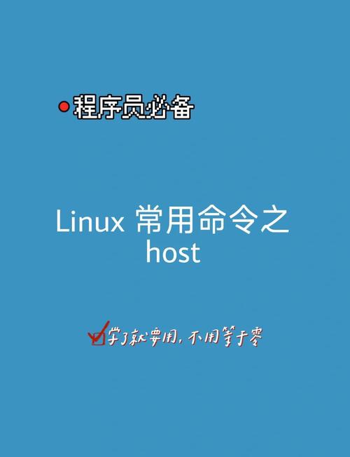 linux查看dns解析命令_linux用命令解析ip地址_linux解析命令行参数