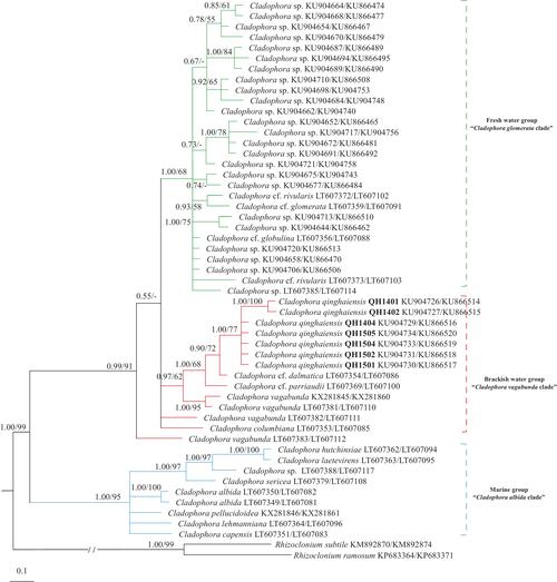 linux移植手册_linux移植有哪些步骤_移植linux到安卓手机