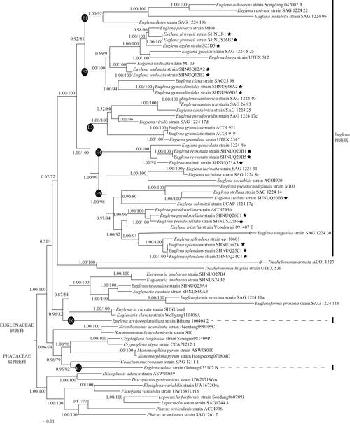 linux移植有哪些步骤_linux移植手册_移植linux到安卓手机