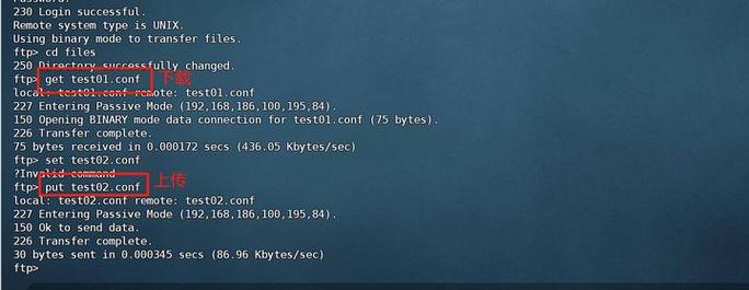 linux 启动ftp服务_启动服务器应用程序失败_启动服务linux