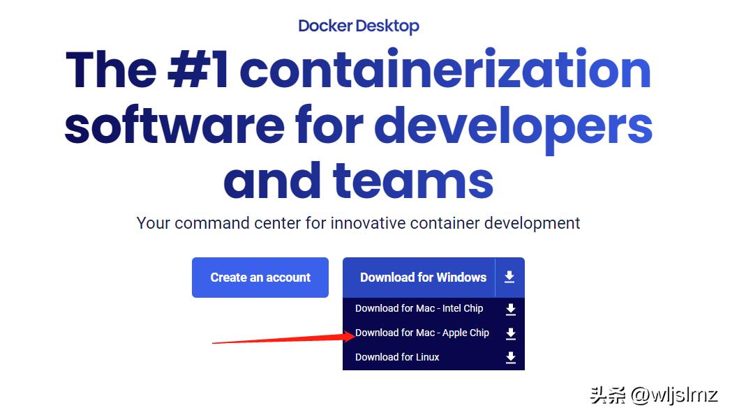 Docker安装教程 site:example.com_Docker镜像管理 guide site:example.com_docker dionaea