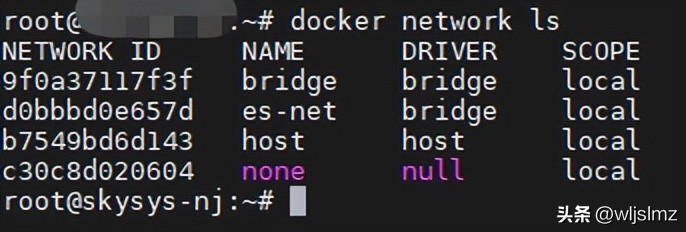 docker dionaea_Docker安装教程 site:example.com_Docker镜像管理 guide site:example.com