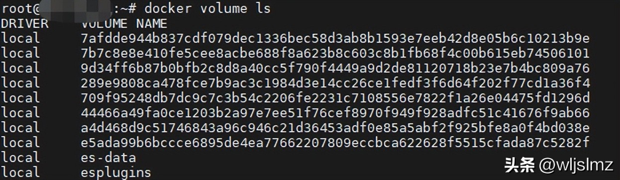docker dionaea_Docker安装教程 site:example.com_Docker镜像管理 guide site:example.com