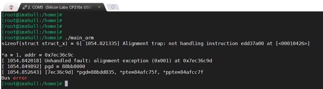 嵌入式开发总线错误_linux 栈溢出攻击原理_段错误与总线错误区别