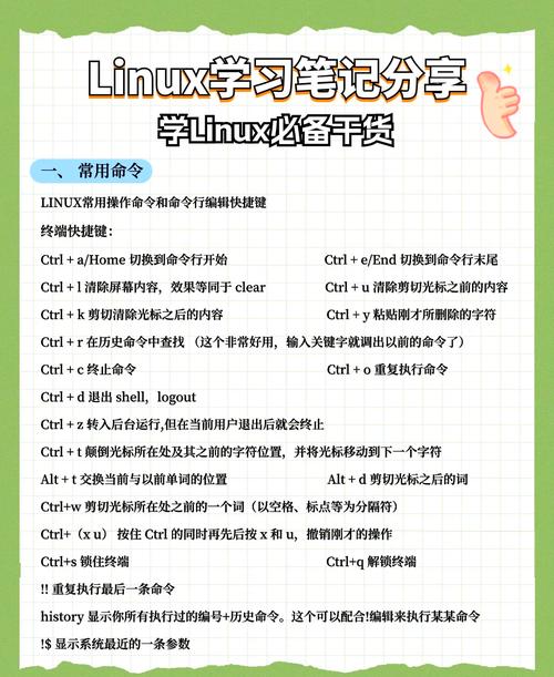 linux 开发 视频_视频开发技术_视频开发工程师