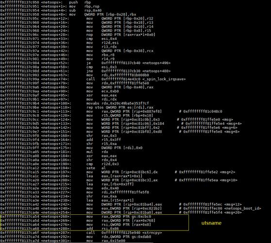 漏洞百出_linux bash 漏洞_漏洞英文bug