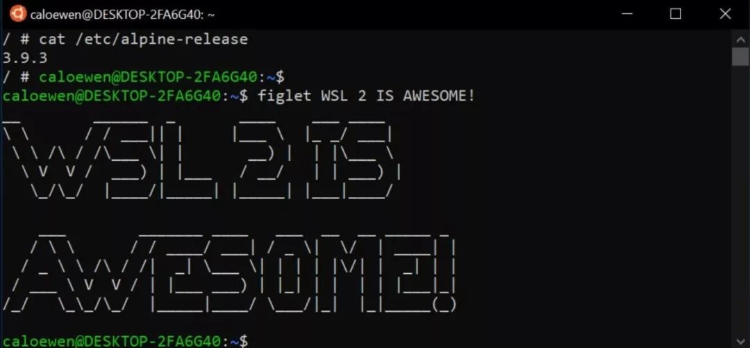 windows subsystem for linux 2_chrome os linux support_linux系统移植