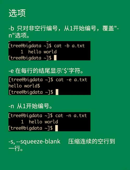 linux cat grep命令_命令提示符_命令方块获取指令