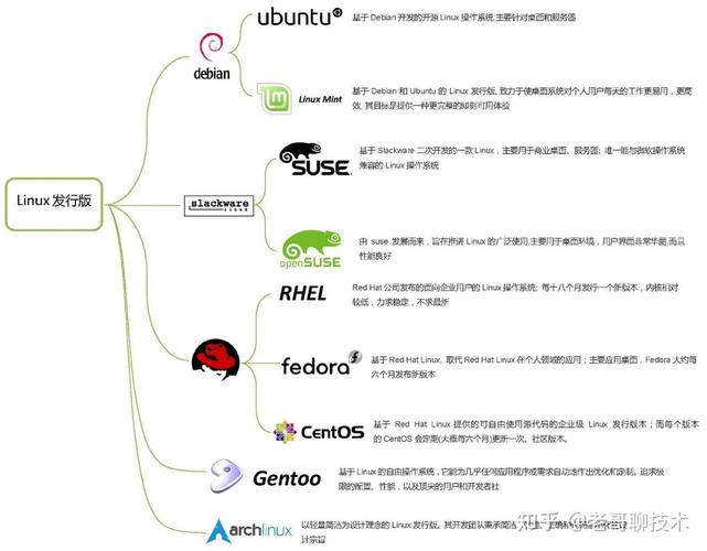 Linux操作系统_服务器端应用_linux / 是什么意思