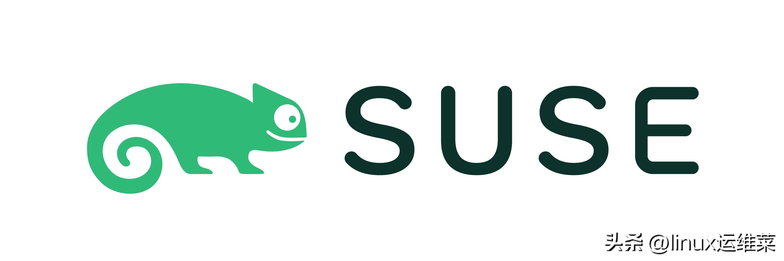 Linux包管理器对比_linux 发行版本_Debianapt包管理器使用教程