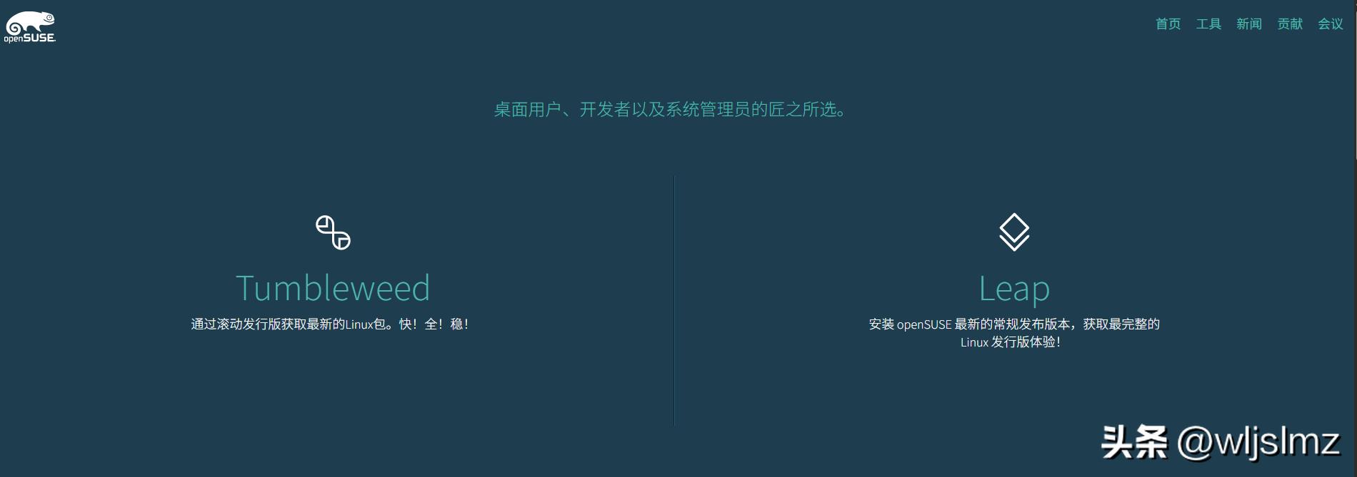 2025年最佳Linux服务器发行版推荐_linux 发行版本_Linux服务器操作系统选择指南