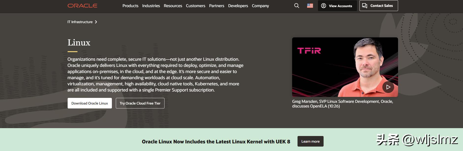 2025年最佳Linux服务器发行版推荐_linux 发行版本_Linux服务器操作系统选择指南