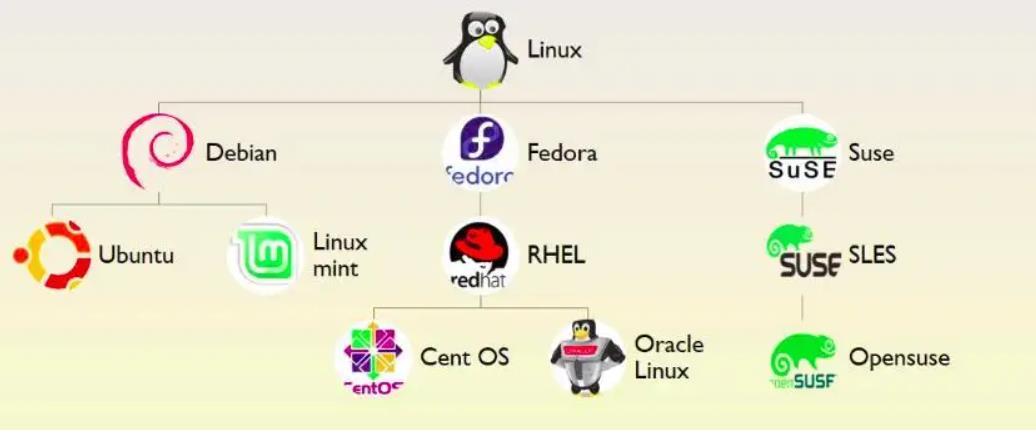 基于Unix的操作系统_linux 发行版本_操作系统种类