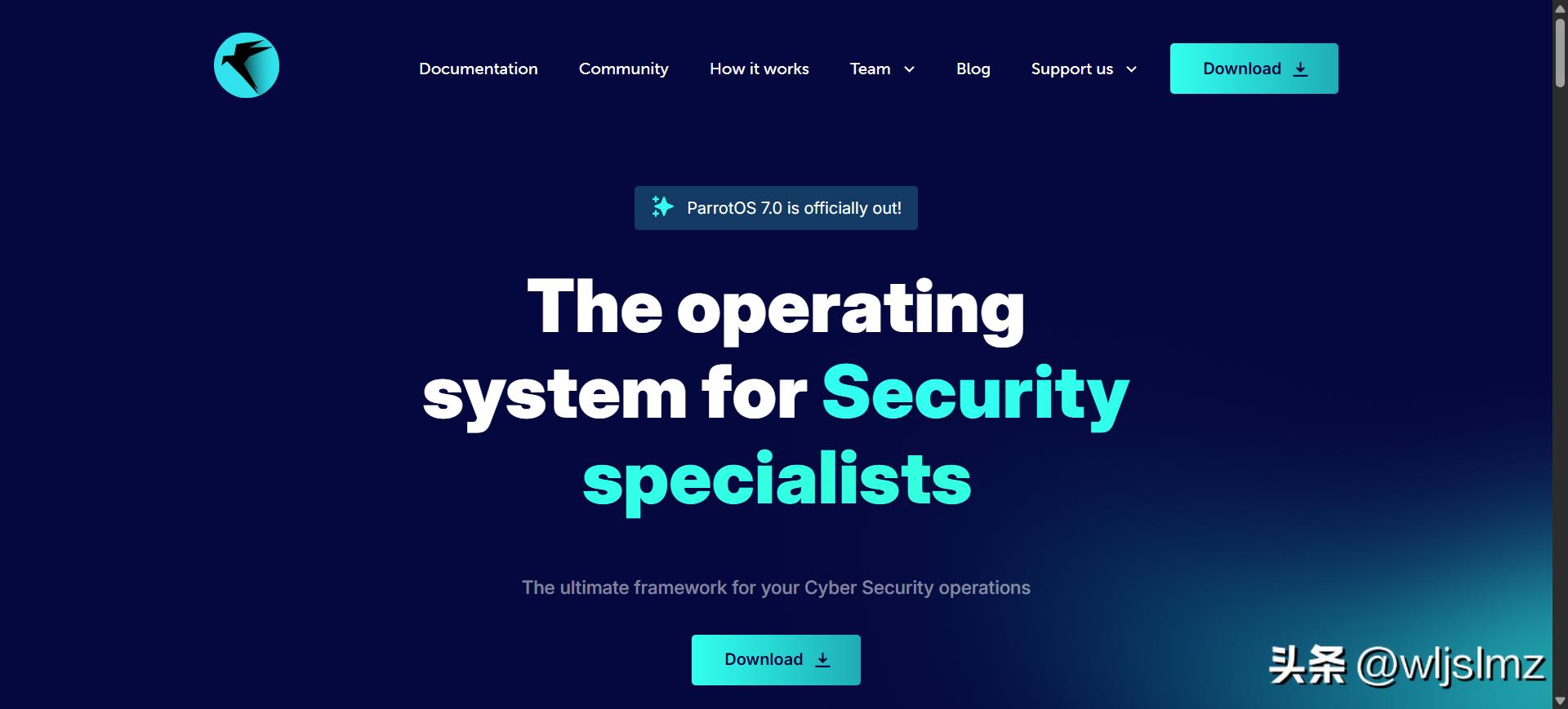 Tails操作系统_Linux隐私发行版_linux shell 版本信息