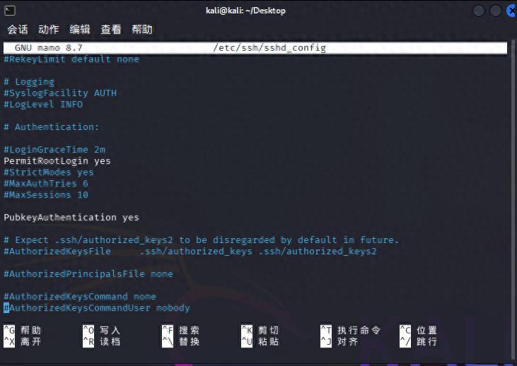 开启SSH服务_配置Kali Linux SSH_linux shell 版本信息