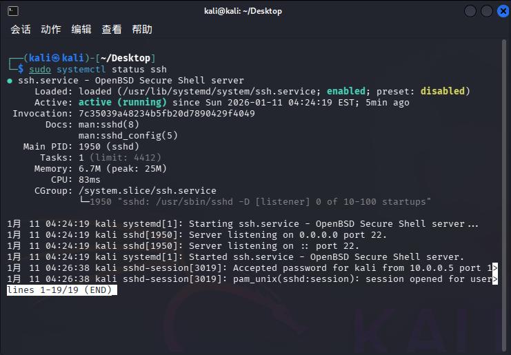 linux shell 版本信息_配置Kali Linux SSH_开启SSH服务