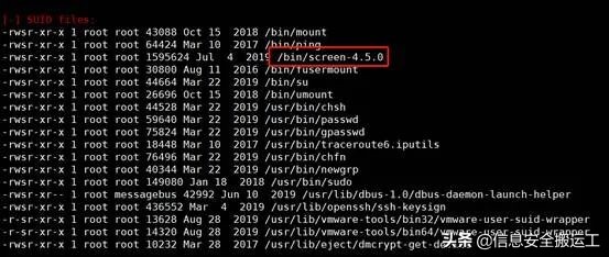 Linux提权漏洞_linux passwd_dirty提权利用