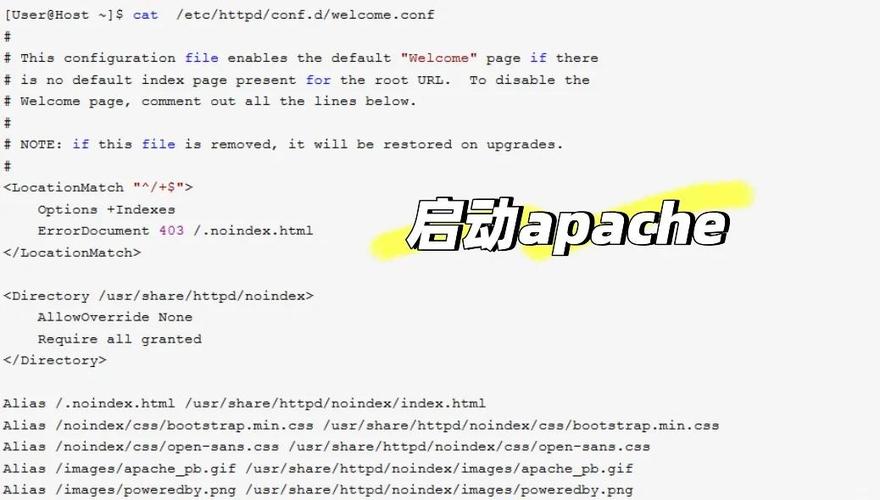 linux apache安装_安装apache服务器的命令_安装apache教程