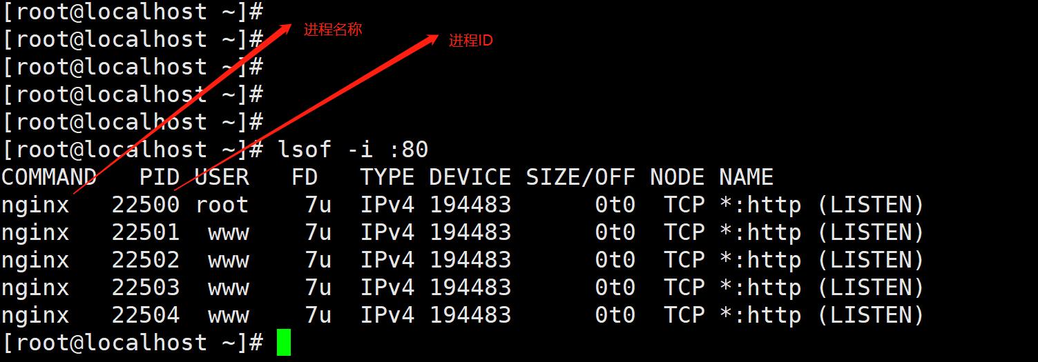 linux查看占用的端口_端口占用查看命令linux_linux查看占用的端口号