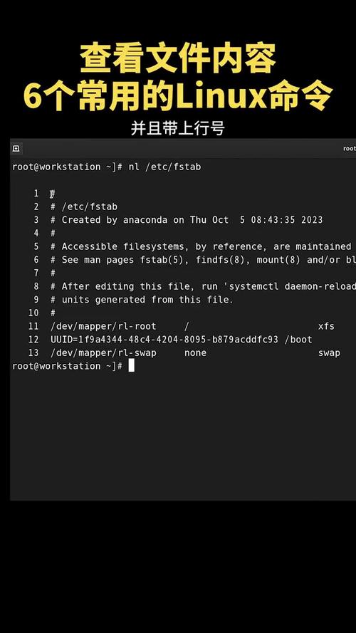 Linux查看操作系统版本信息_linux 查看包版本信息_lsb_release命令查看Linux版本