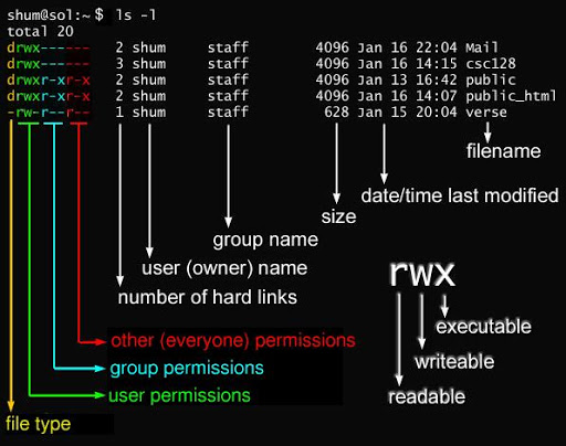 Linux文件权限修改 chown chmod _ Linux文件属性详解 rwx权限 _linux文件 权限