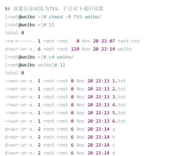 Linux文件权限修改 chown chmod _ Linux文件属性详解 rwx权限 _linux文件 权限