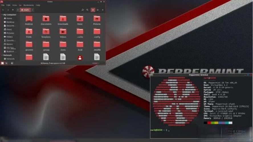 轻量级Linux发行版_TinyCoreLinux下载_puppy linux 6.1 中文