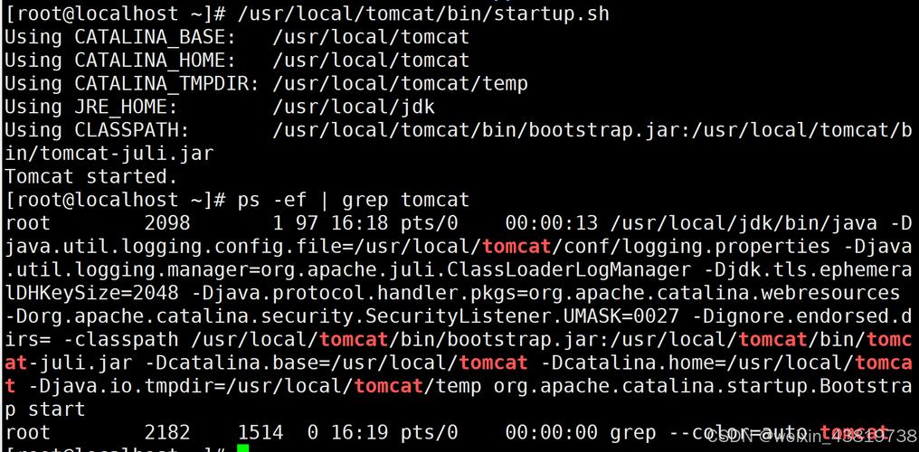 linux 启动tomcat命令_命令启动sqlserver_命令启动任务管理器