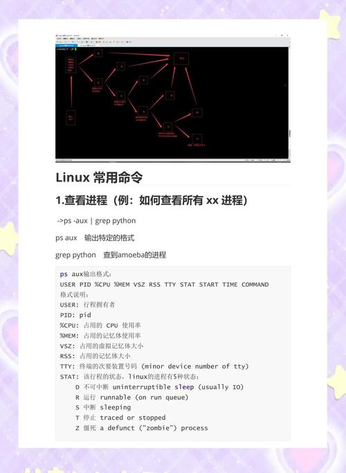 linux find exec命令_Linux进程管理_kill命令使用技巧