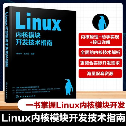 linux内核模块开发_linux内核模块开发_linux内核模块开发