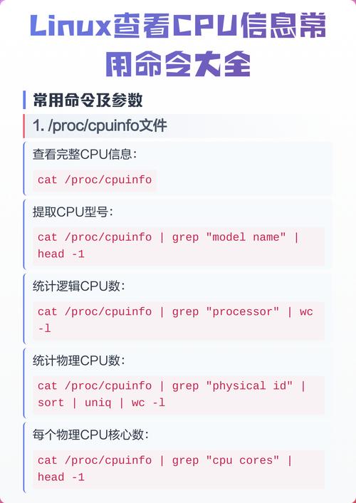 linux查看版本命令_linux常用命令查看版本_linux版本查看命令