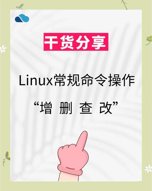 linux管理员命令行_linux用户管理命令_linux用户命令权限