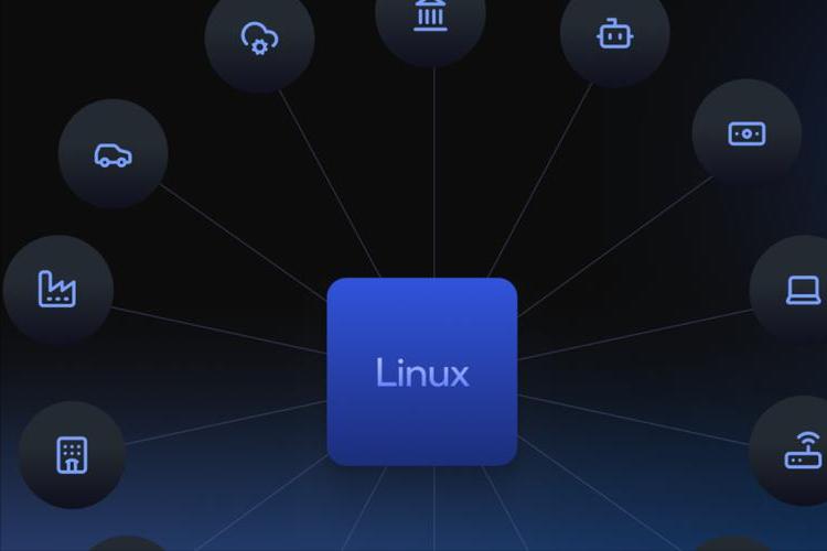 linux内核完全剖析_Linux内核Rust语言正式成员_RustforLinux项目五年发展历程