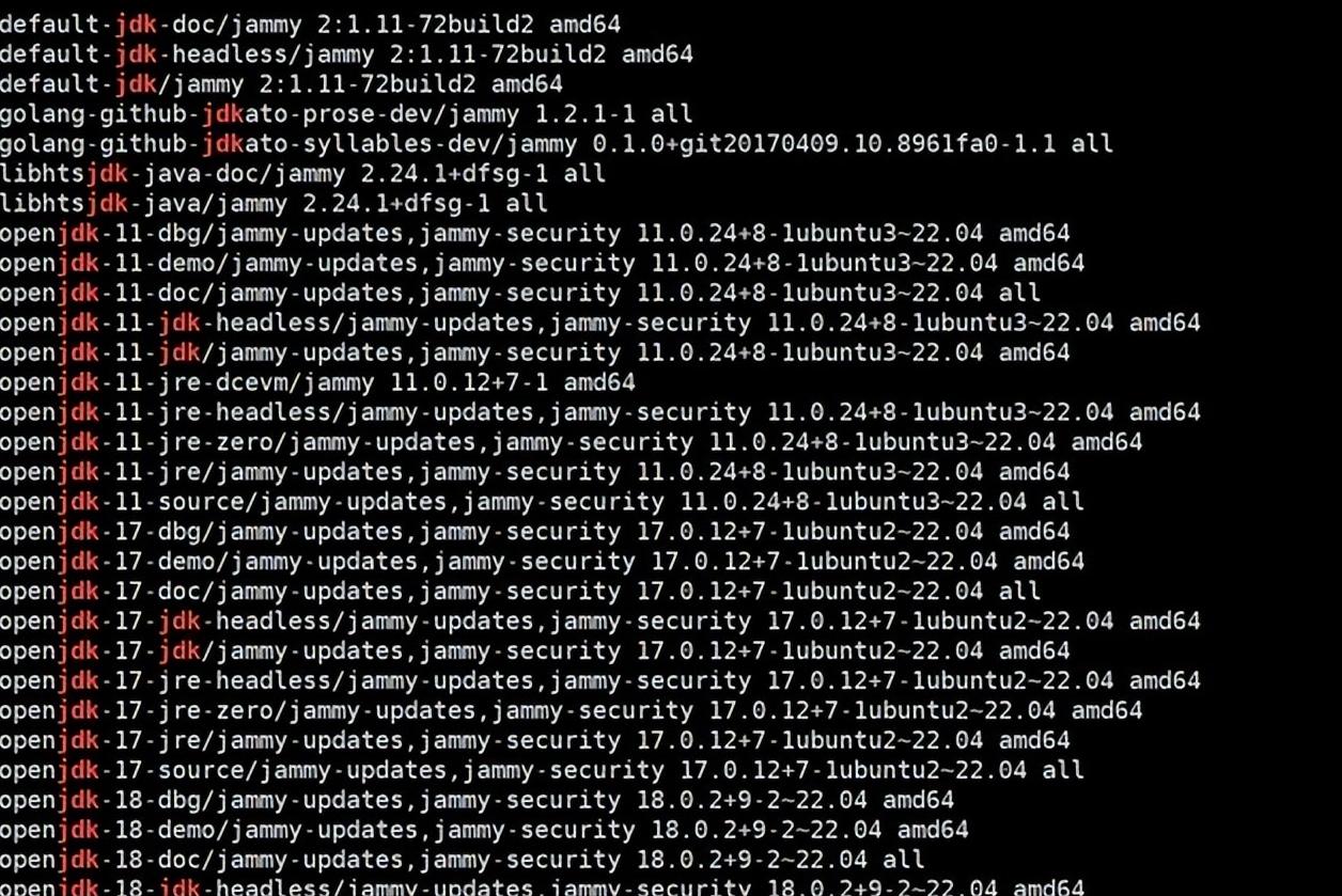 RustforLinux项目五年发展历程_Linux内核Rust语言正式成员_linux内核完全剖析