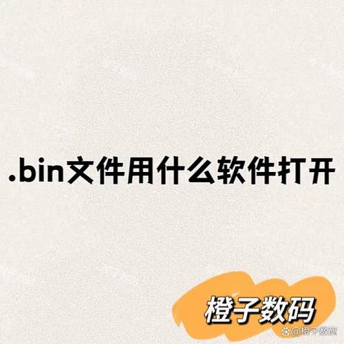 linux运行bin文件_bin文件后缀名修改为apk_安卓手机打开bin文件方法