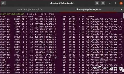 ps aux grep python cut xargs kill_Linux批量杀死进程命令_linux强制杀死程序