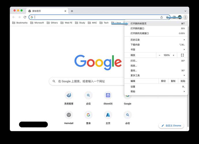 linux下安装chrome_linux如何安装chrome_安装chromedriver
