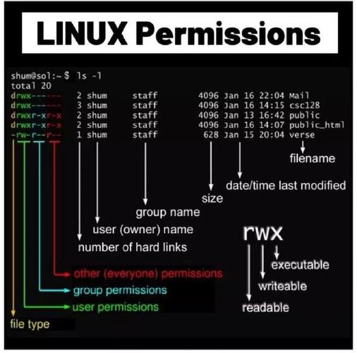 linux 给用户某个目录权限_linux目录的三种权限含义_linux用户目录权限