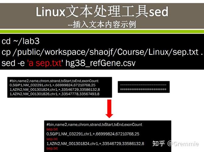 命令linux_linux的awk命令_命令的英文