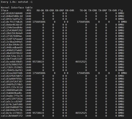 端口查看命令linux_查看端口号linux_linux查看程序端口号