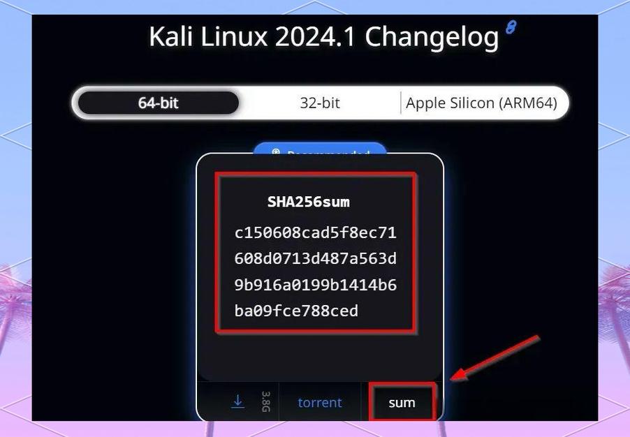 重装linux系统_Kali Linux安装教程 新手必备渗透测试工具 学习路线推荐