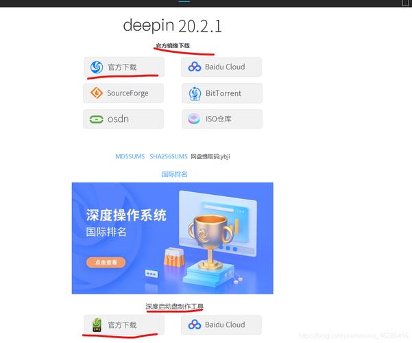 linux deepin 安装_安装deepin磁盘空间不足_安装deepin25黑屏