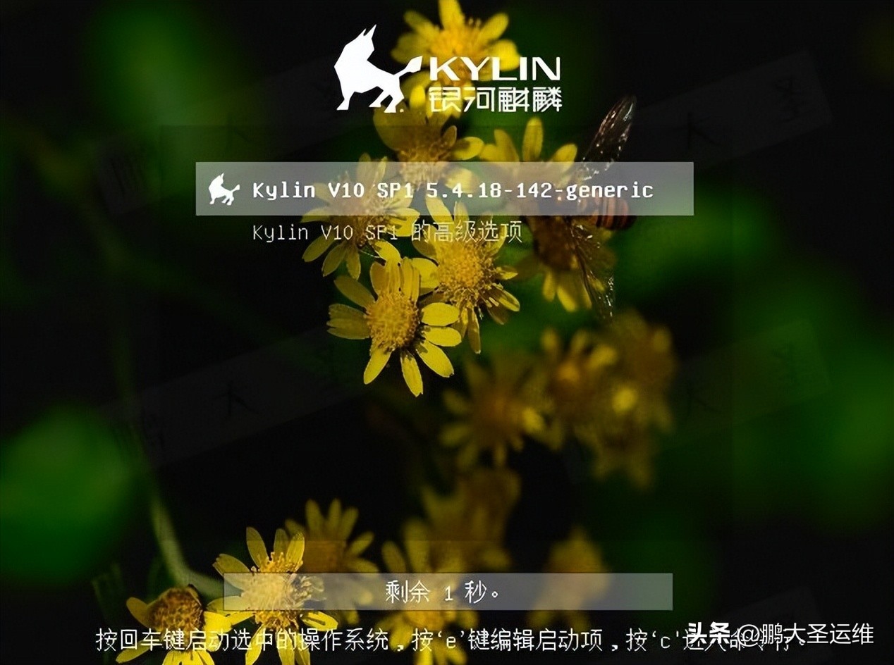 银河麒麟桌面操作系统 GRUB 背景更换教程_grub2命令行启动linux_银河麒麟 UKUI GRUB 背景定制方法