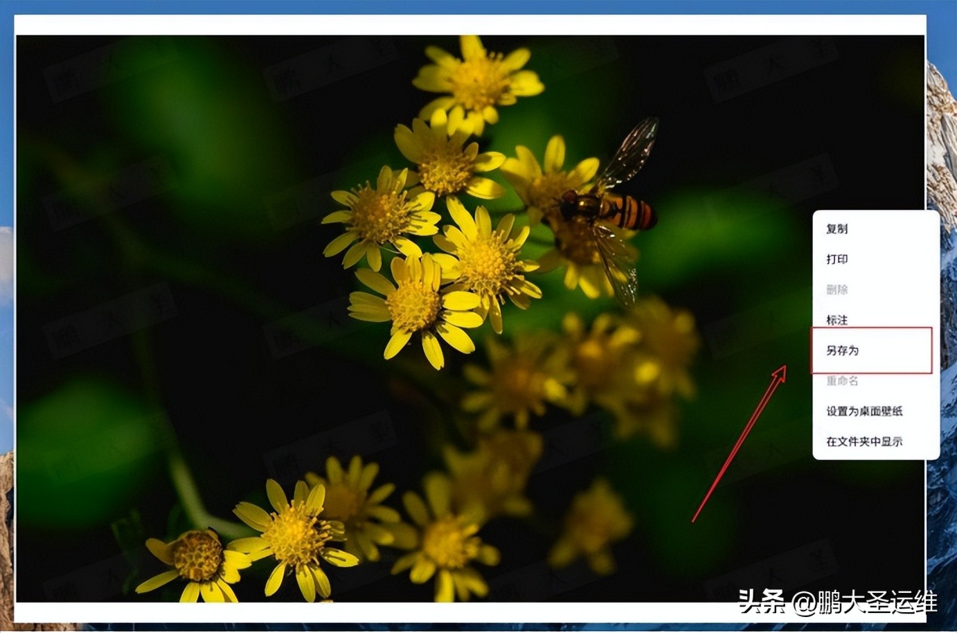 银河麒麟桌面操作系统 GRUB 背景更换教程_grub2命令行启动linux_银河麒麟 UKUI GRUB 背景定制方法