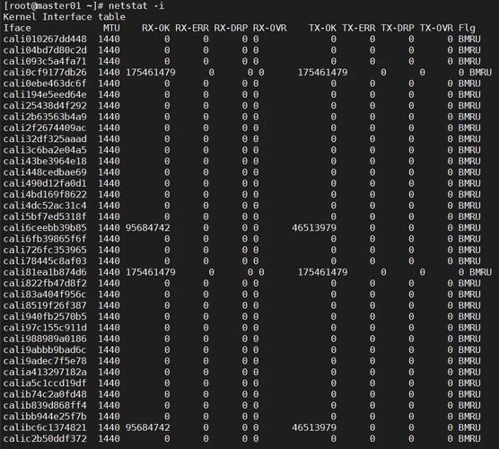linux查看网络地址命令_linux常用命令查看网络_linux网络查看命令