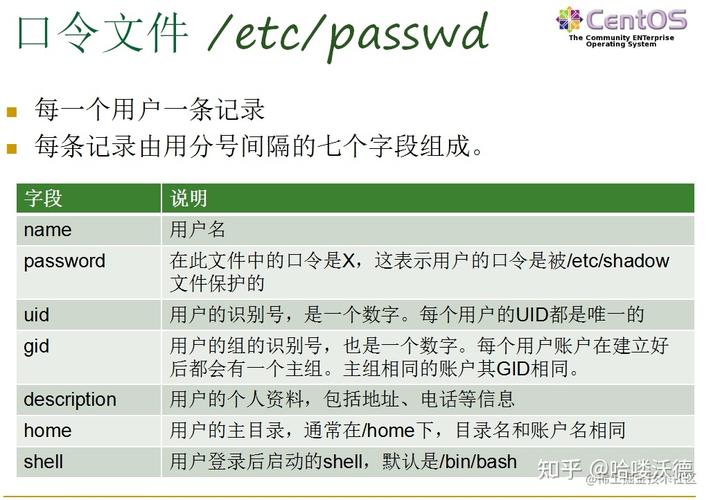 linux 修改用户组权限_Linux用户角色划分_UID和GID识别