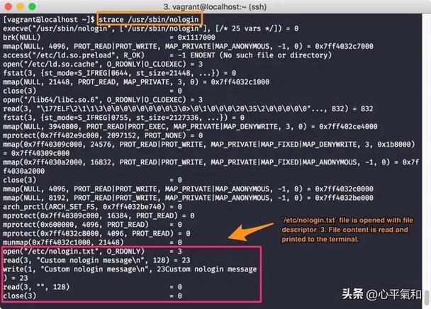 追踪linux tcp/ip代码运行 pdf_linux追踪命令_linux跟踪程序运行过程